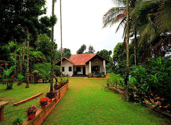 adamya homestay